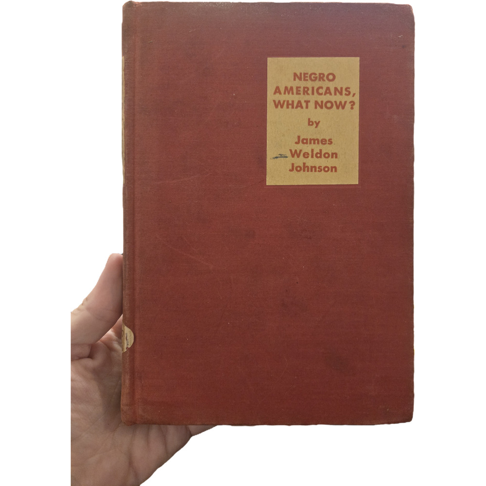 Negro Americans What Now James Weldon Johnson First Edition 1934 Viking Book